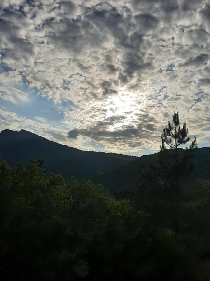 Vila Eva Meduvrsje Exterior foto