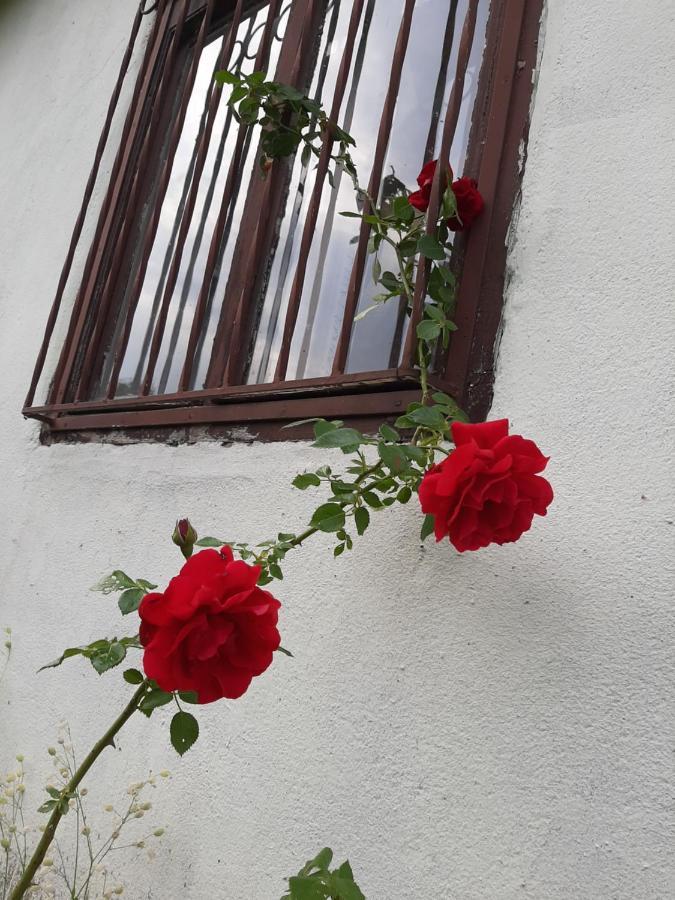 Vila Eva Meduvrsje Exterior foto