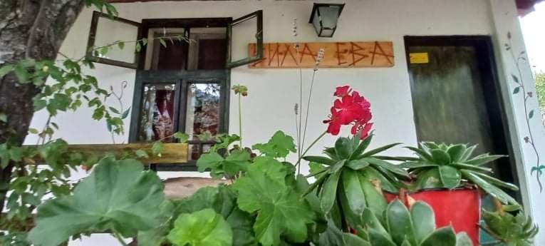 Vila Eva Meduvrsje Exterior foto