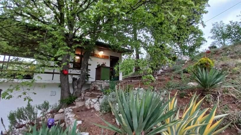 Vila Eva Meduvrsje Exterior foto